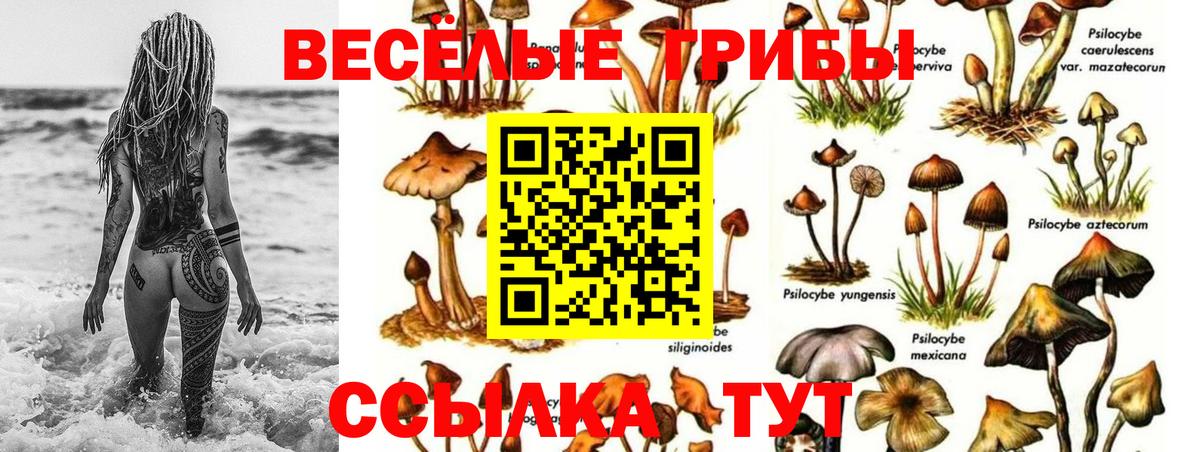 Псилоцибиновые грибы MAGIC MUSHROOMS  Вход с VPN  Карталы 